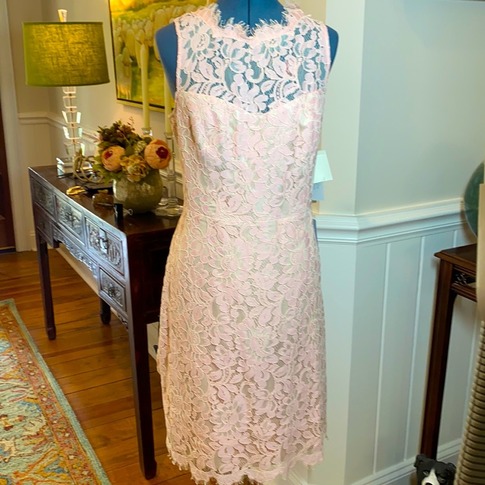 Eliza J pale pink lace sheath dress NWT